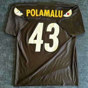 Troy Palamalu Steelers jersey.